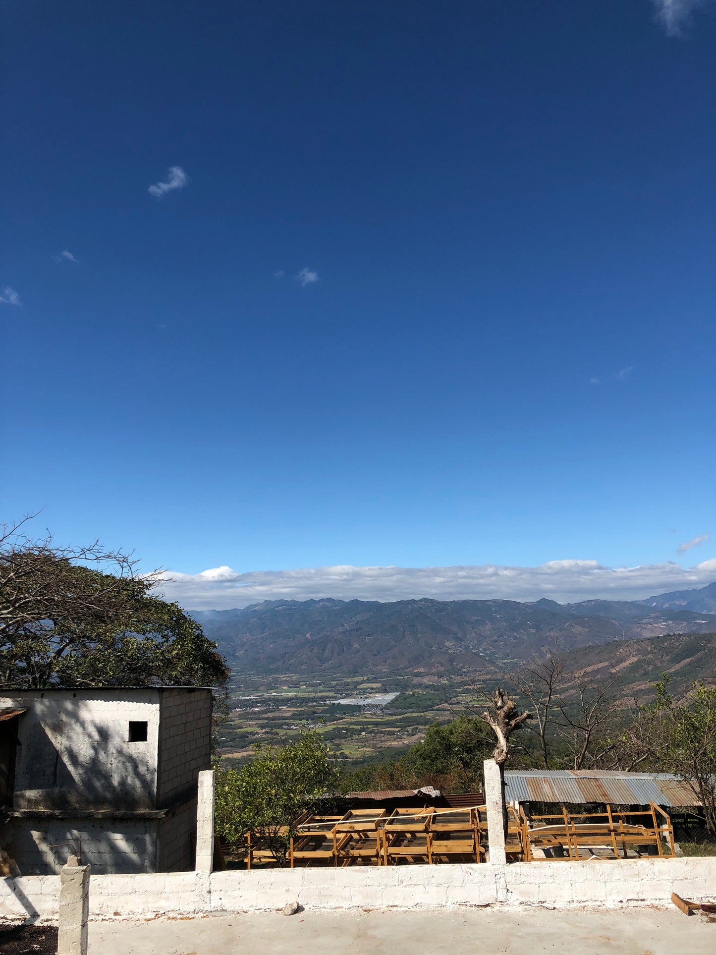 Rebel Yell by Romeo Jimenez