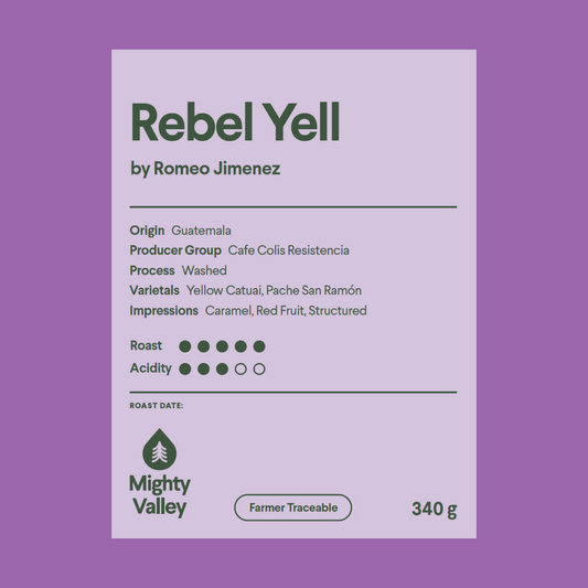 Rebel Yell by Romeo Jimenez