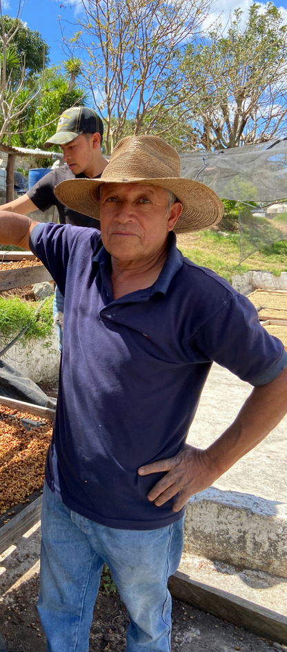 Rebel Yell by Romeo Jimenez