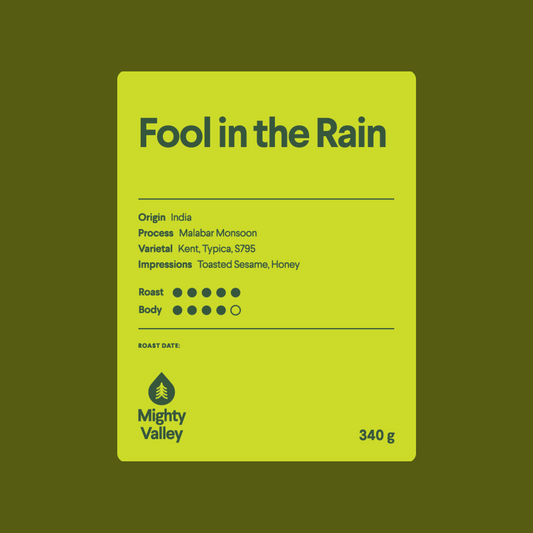 Fool in the Rain