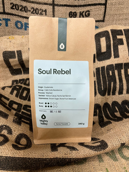 Soul Rebel